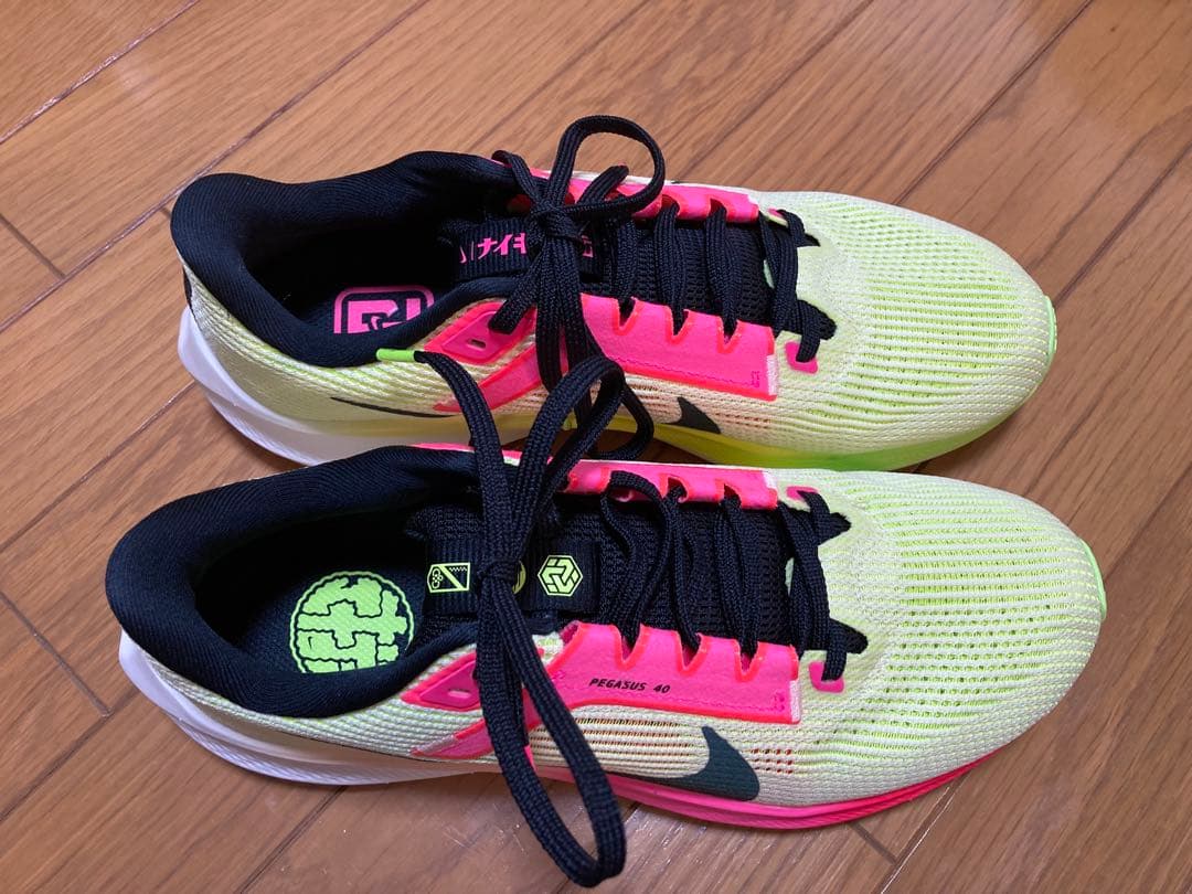 【室内のみの使用】Nike Air Zoom Pegasus 40 25.5cm