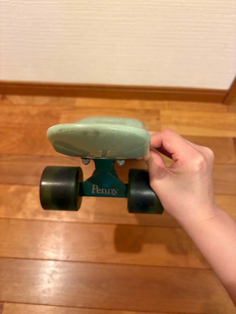 Penny Skateboard セージカラー 22inch