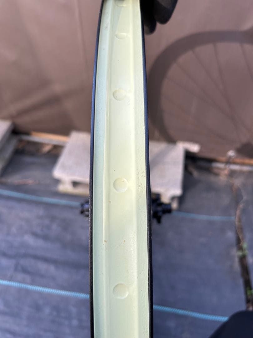 29er industry nine hydra hub リムDT SWIS