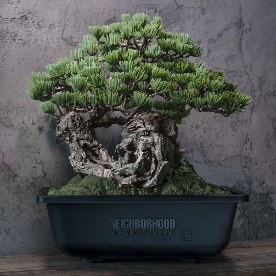 その他 SRL X BANDAI SPIRITS . BONSAI MODEL KIT