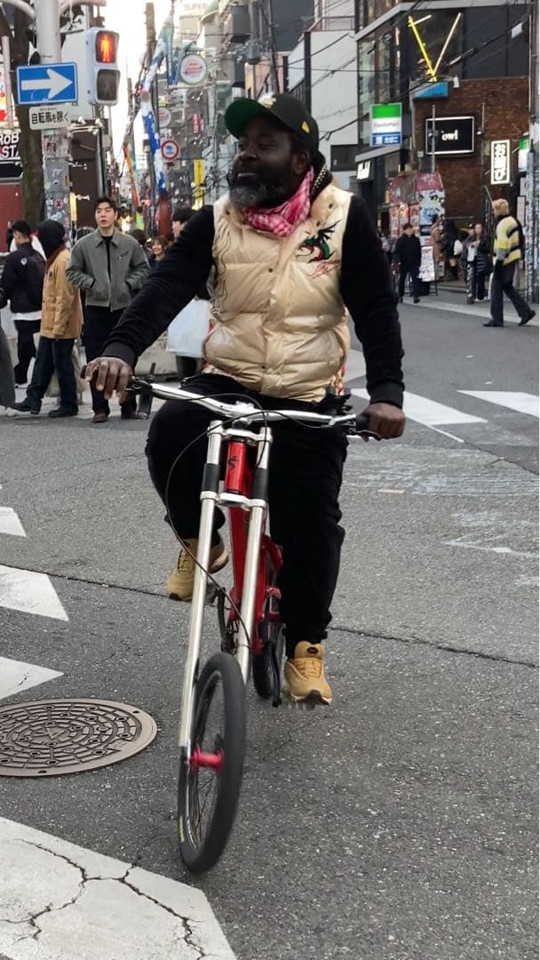 Santa Cruz チョッパーバイク 20インチ