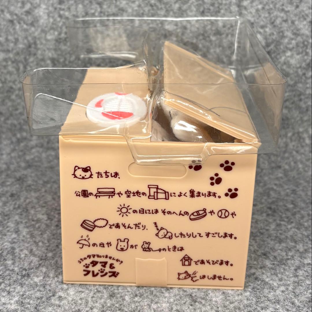 うちのタマ知りませんか？ いたずらBUNK•タマ 貯金箱