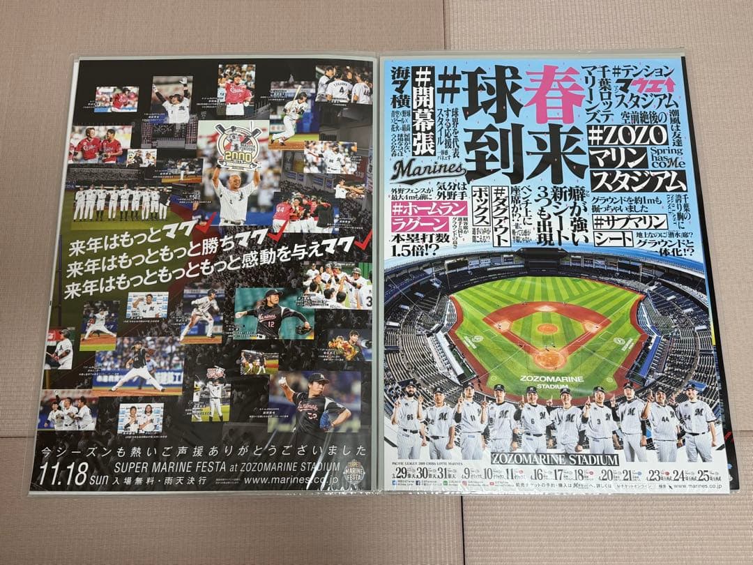千葉ロッテマリーンズ ポスター14枚 ファイル入り