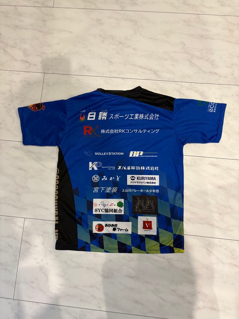 駿台学園 Tシャツ HOYLE Lサイズ