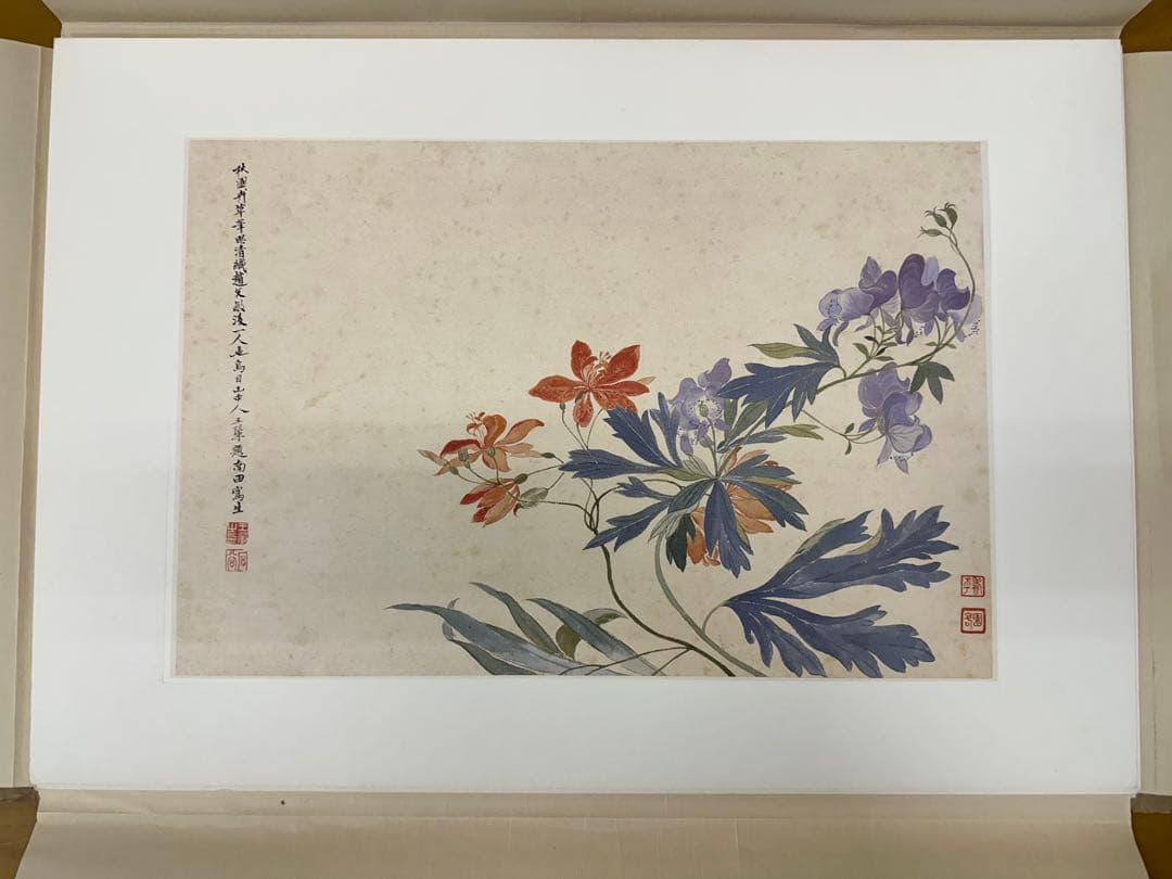 清 惲壽平花卉山水合冊 王翬