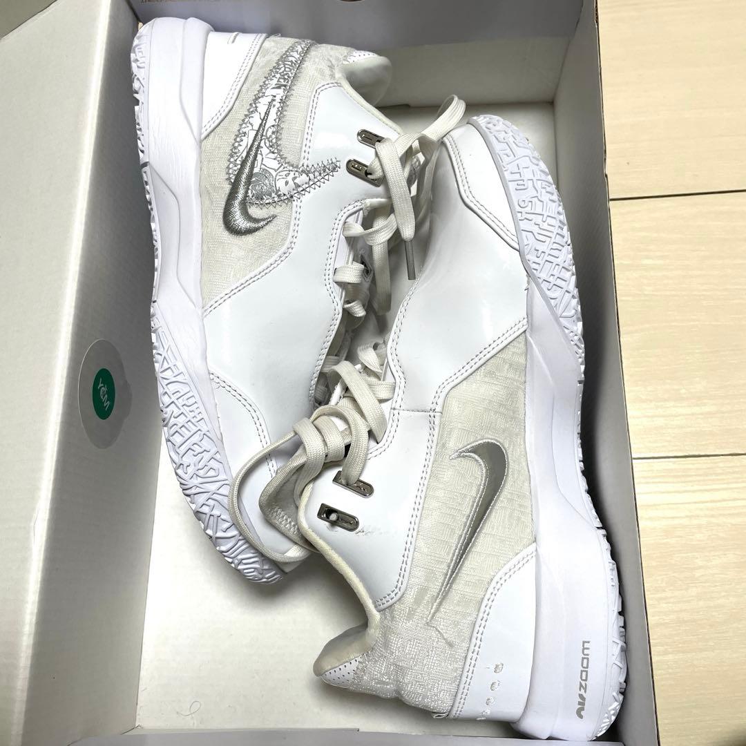 ZM LEBRON NXXT GEN バッシュ　NIKE バスケ