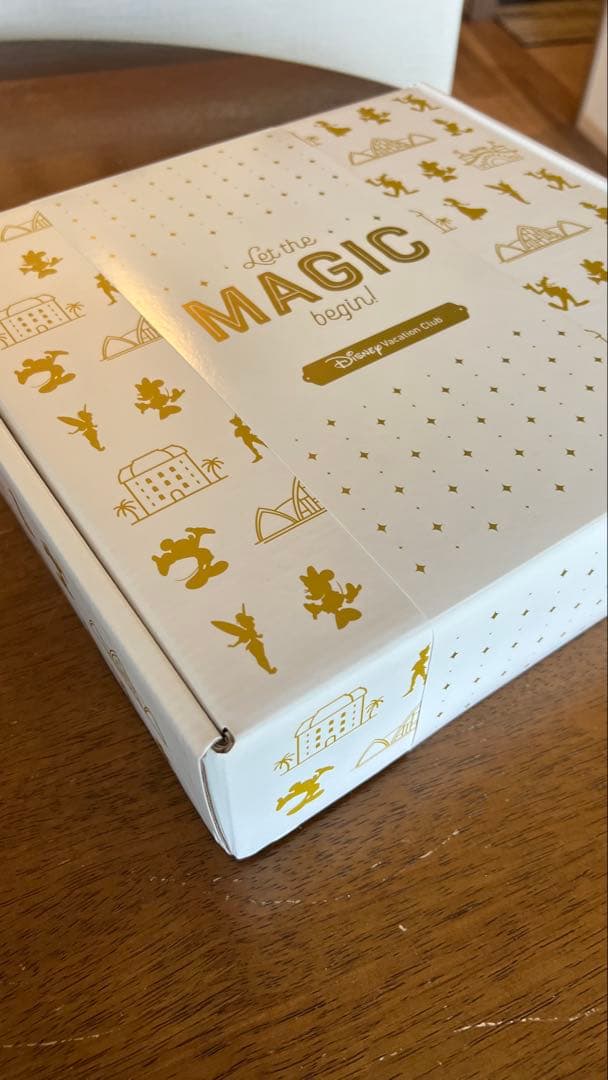 Disney Vacation Club MEMBER 水筒　DVC