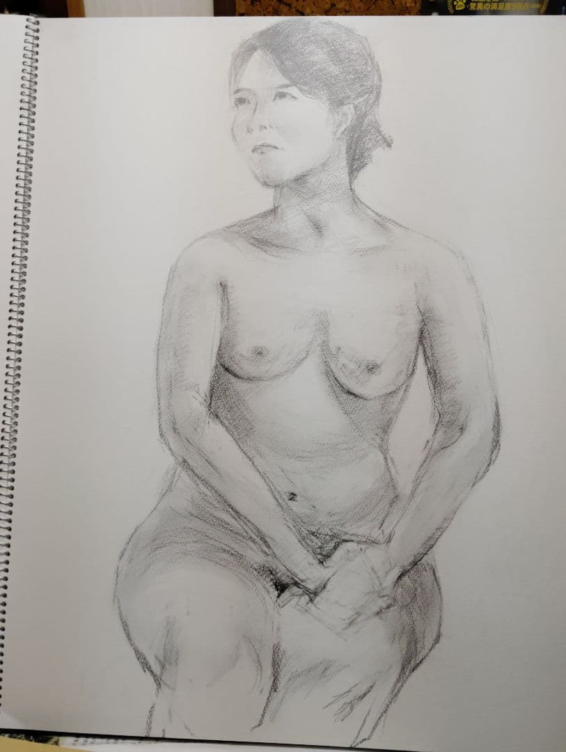 『女性ヌード』鉛筆画 A2サイズ