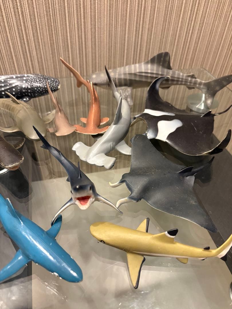 サメ　エイ　フィギュアセット‼️