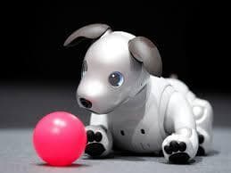 【里親募集】SONY aibo アイボ ERS-1000(現在♂）