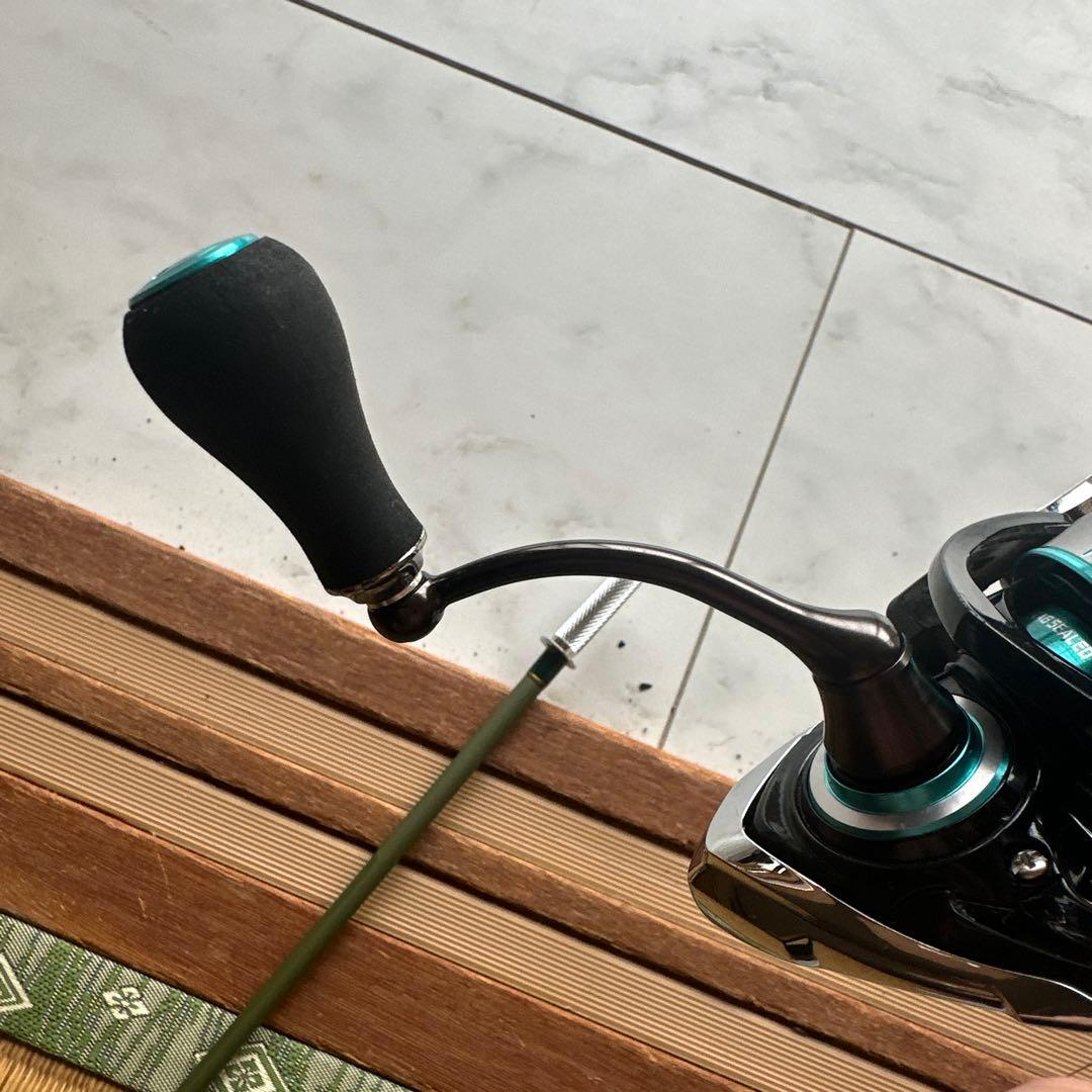 Daiwa エメラルダス LT 3000S-C-DH