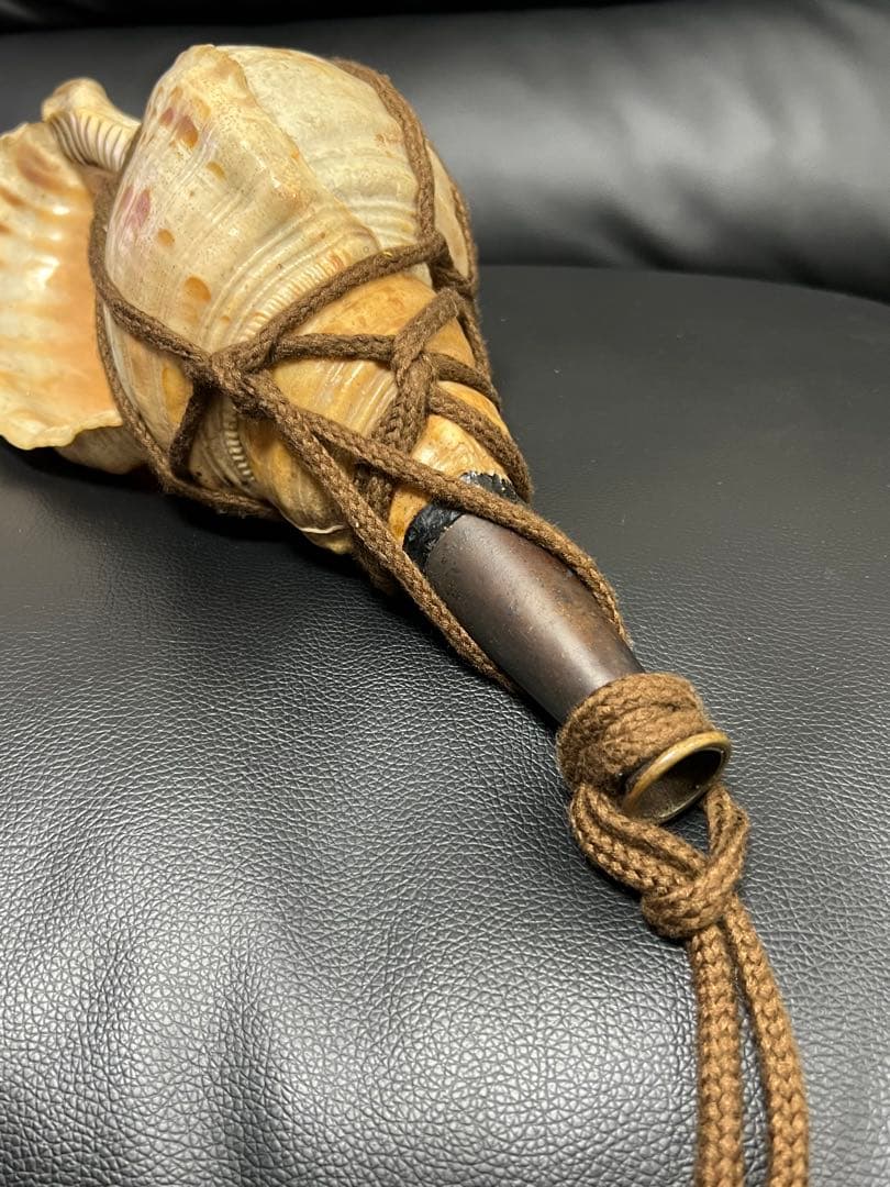 法螺貝 ホラ貝 螺貝 約30cm 和楽器