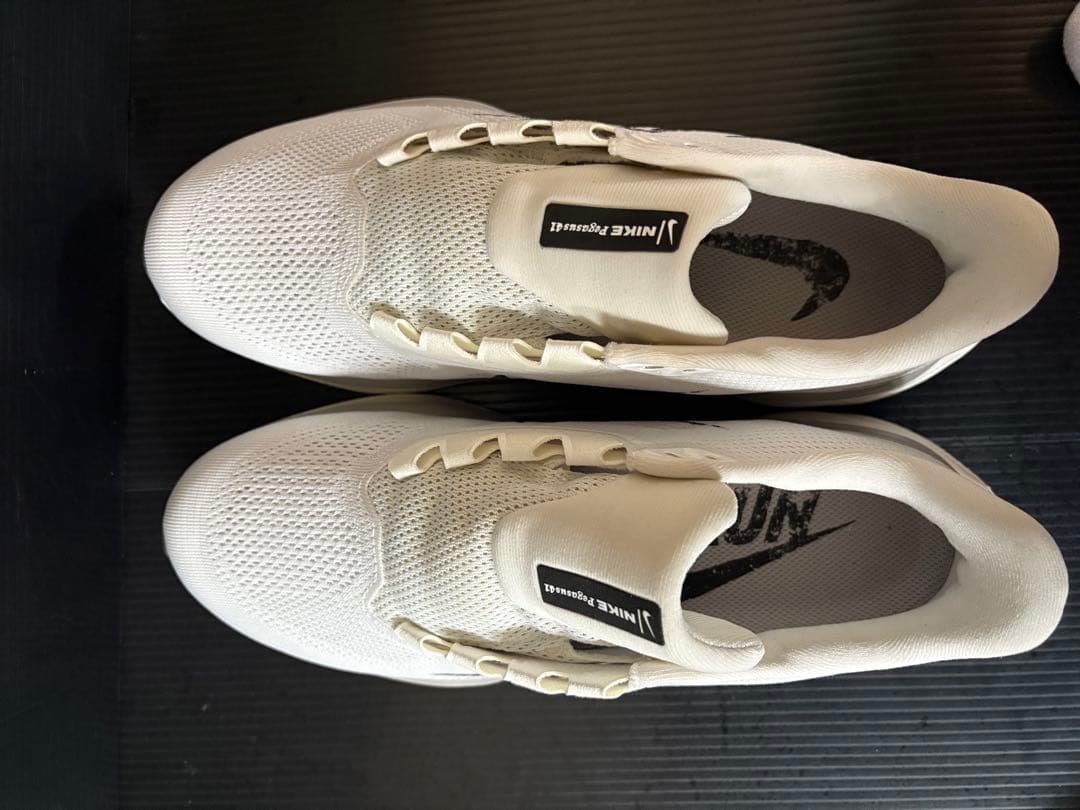 NIKE ペガサス41 26.5cm