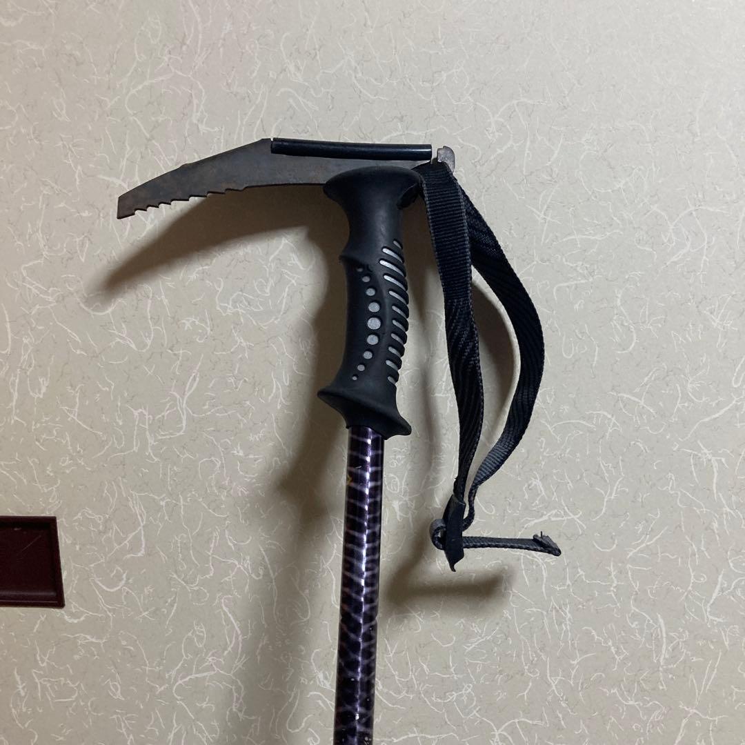 ストック　ウィペット