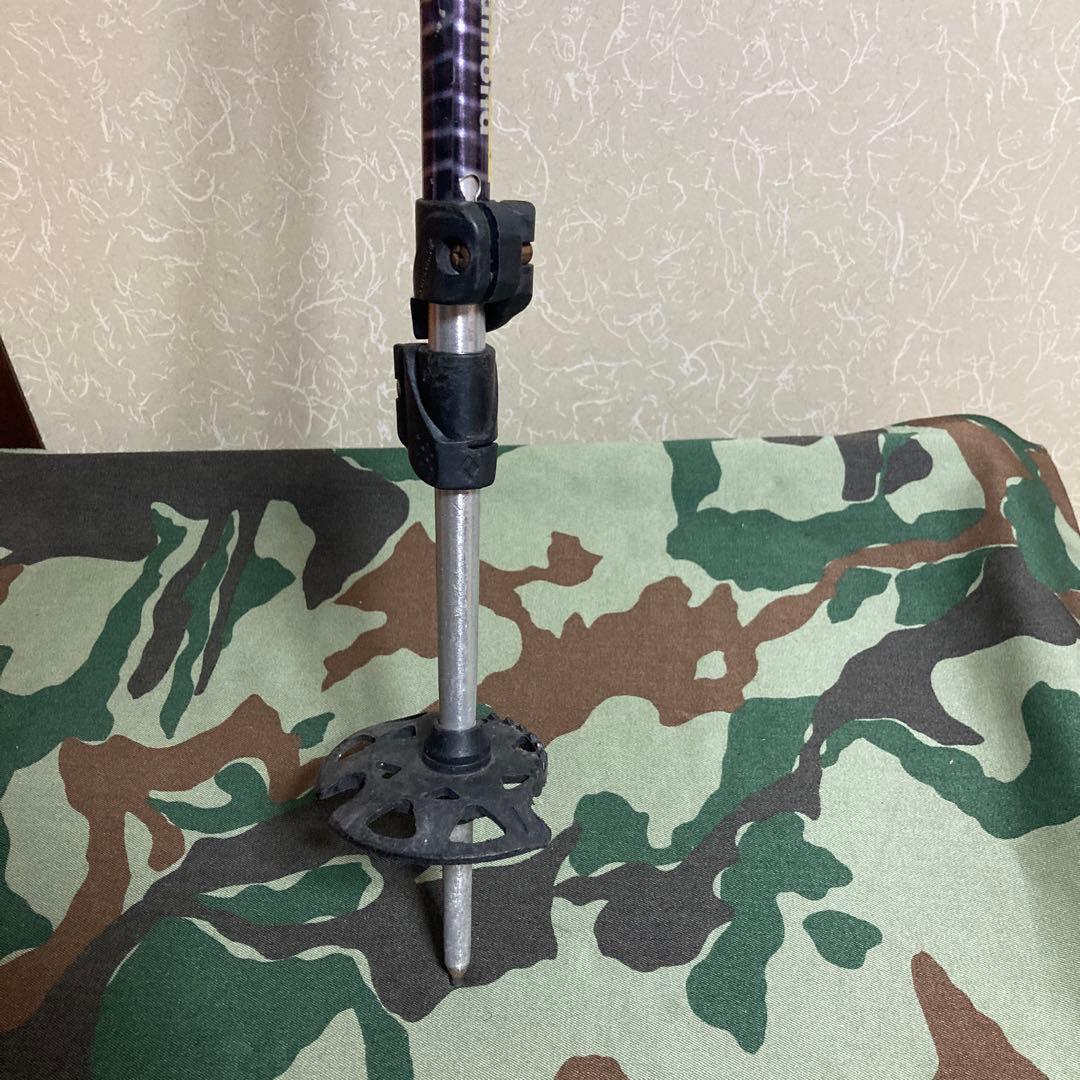  ストック　ウィペット