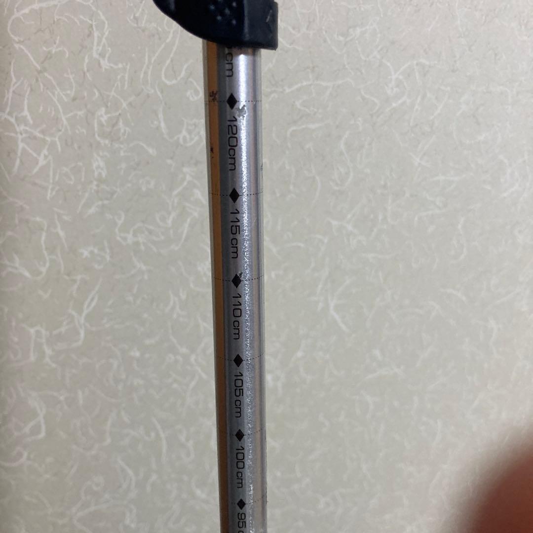  ストック　ウィペット