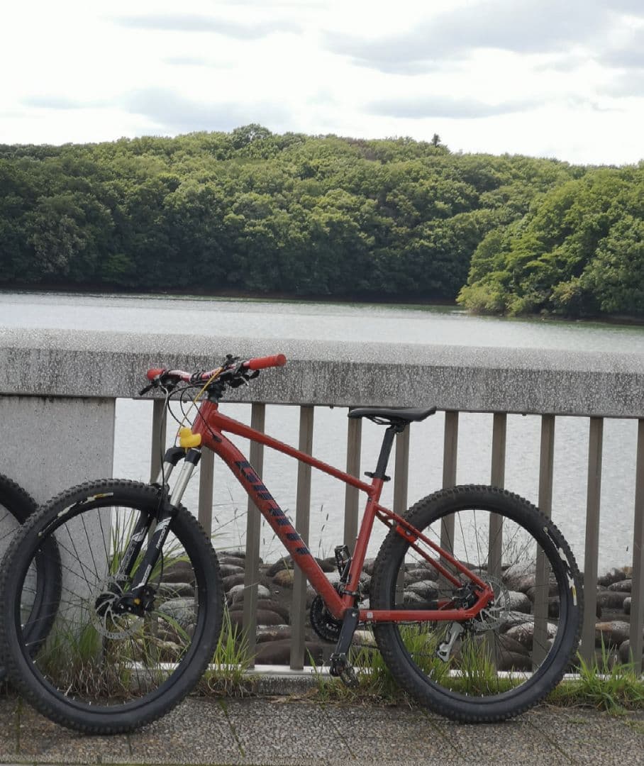 最終値下げ GIANT TALON2 140mm エアサスペンション