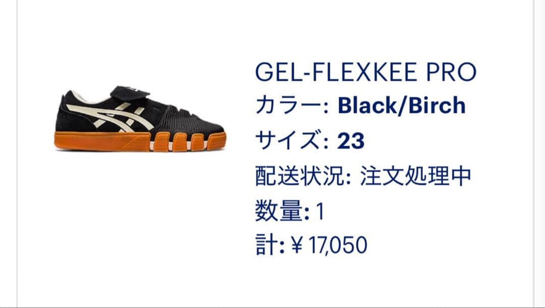 ASICS GEL-FLEXKEE PROスケートボードシューズ 黒　23㎝