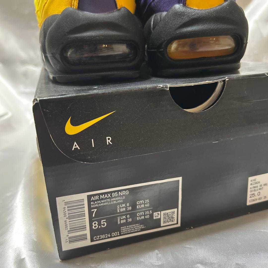 レブロンジェームズAIR MAX 95