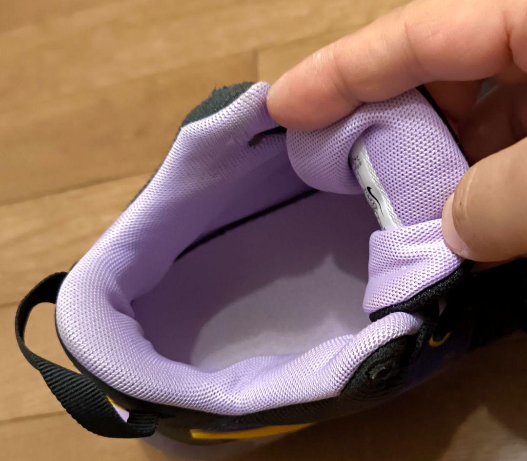 美品　NIKE ナイキ　LeBron　レブロン 25.5 cm