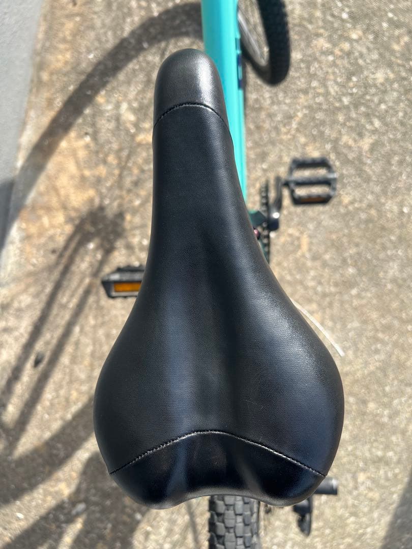 Bianchi Pirata キッズバイク 水色