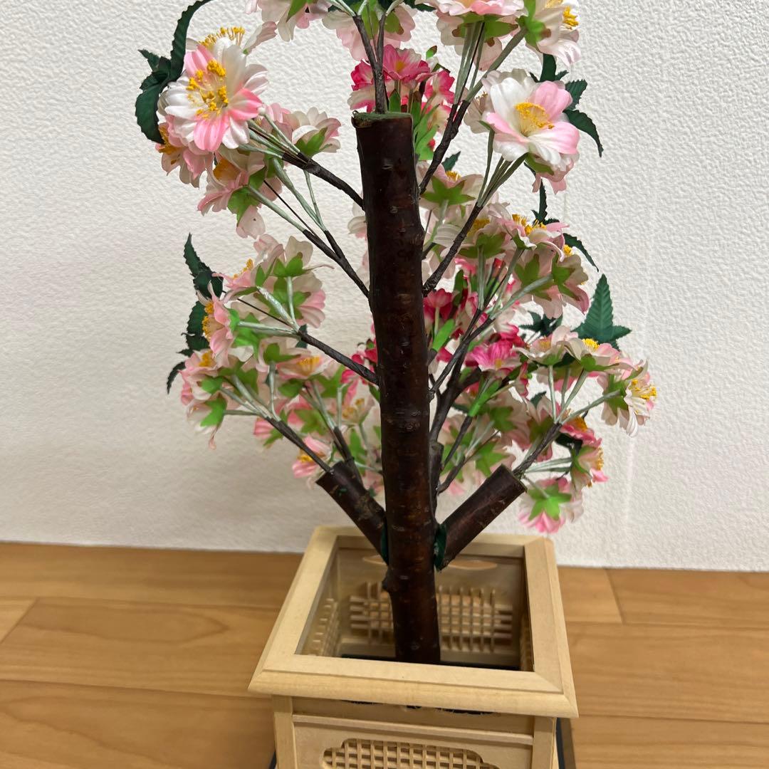 雛人形　桃の節句　桜橘　自然木　　花　大