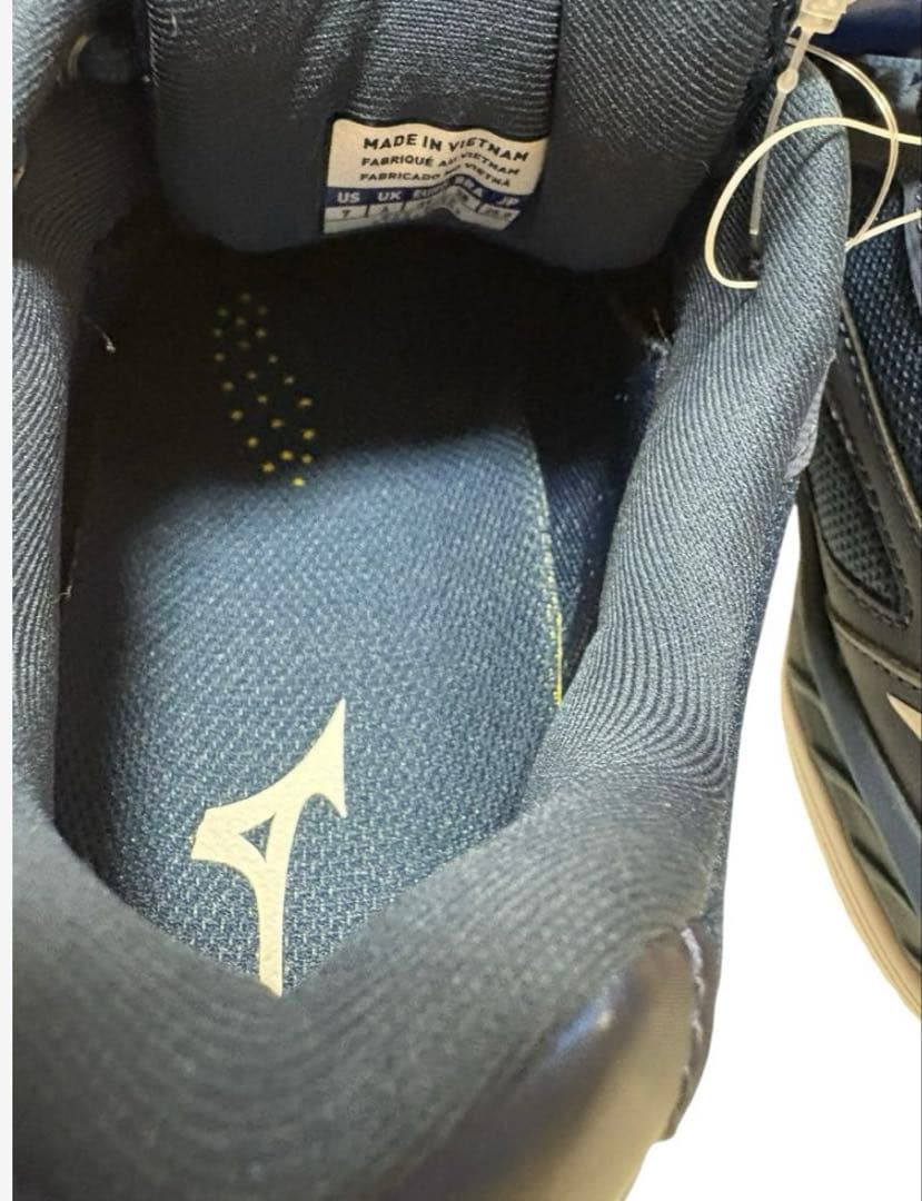 MIZUNO バドミントンシューズ ウエーブクロー2 ワイド 25.0cm