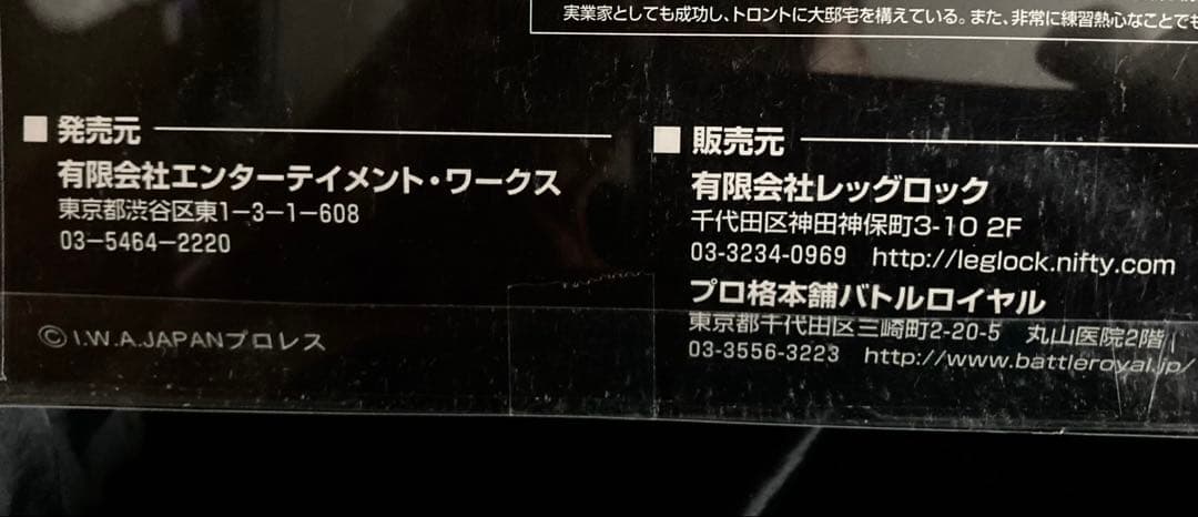 美品 タイガー・ジェット・シン グレートレスラーズVol.1 プロレス レア