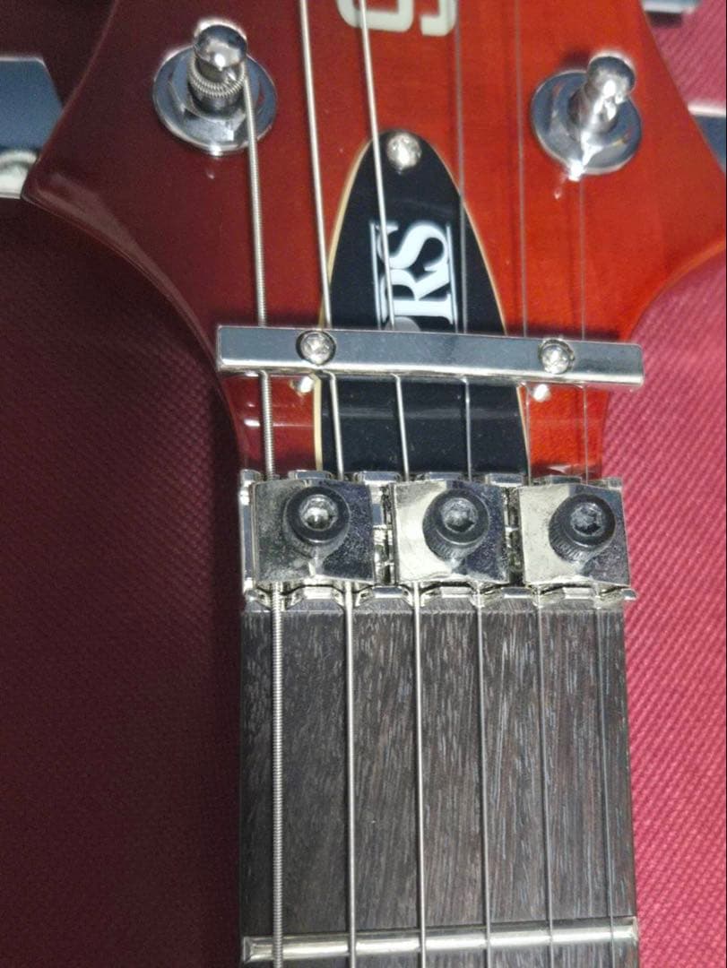 ​【極美品】PRS SE Custom 24 Floyd / Rose