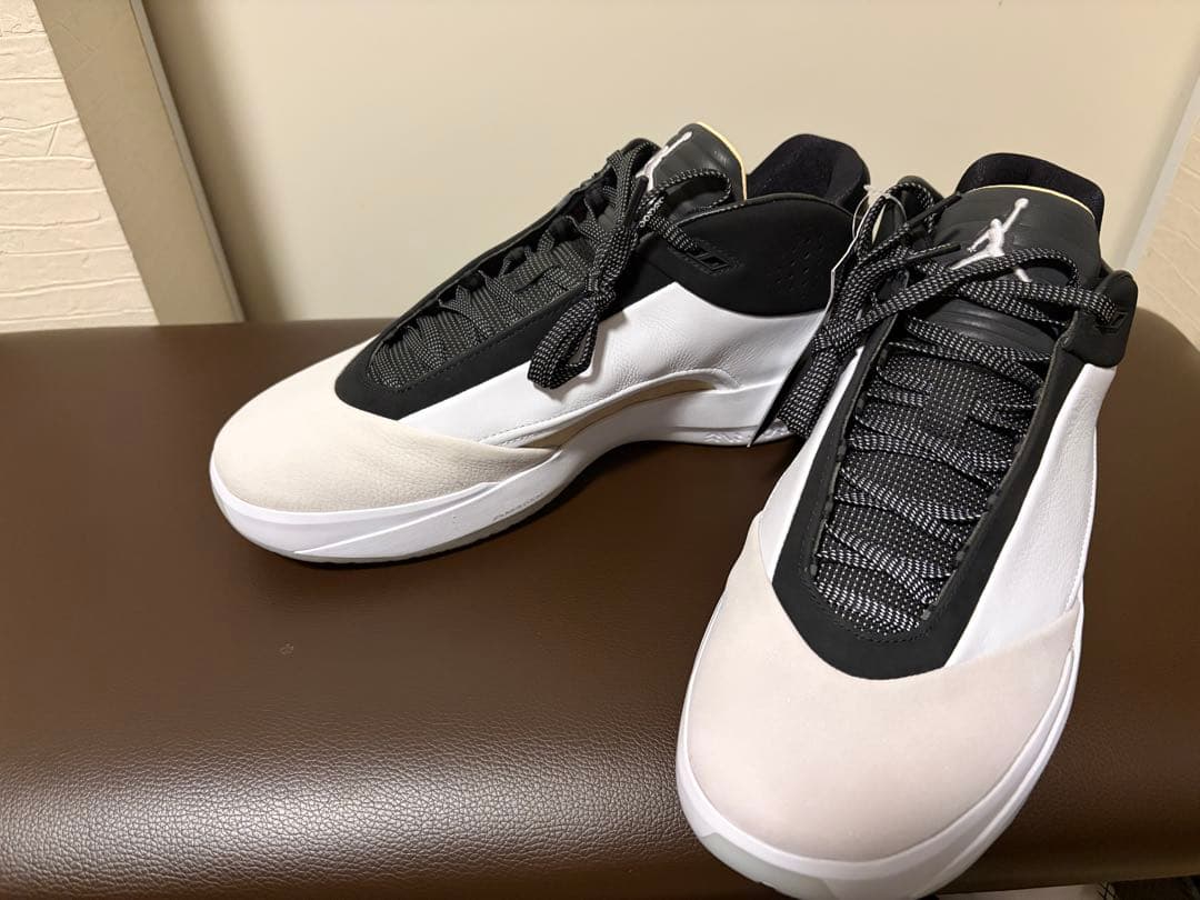 エア ジョーダン 40 PF \"The Classic\" 29cm