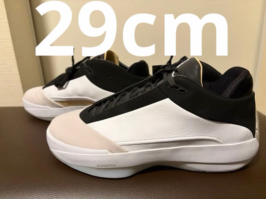 エア ジョーダン 40 PF \"The Classic\" 29cm