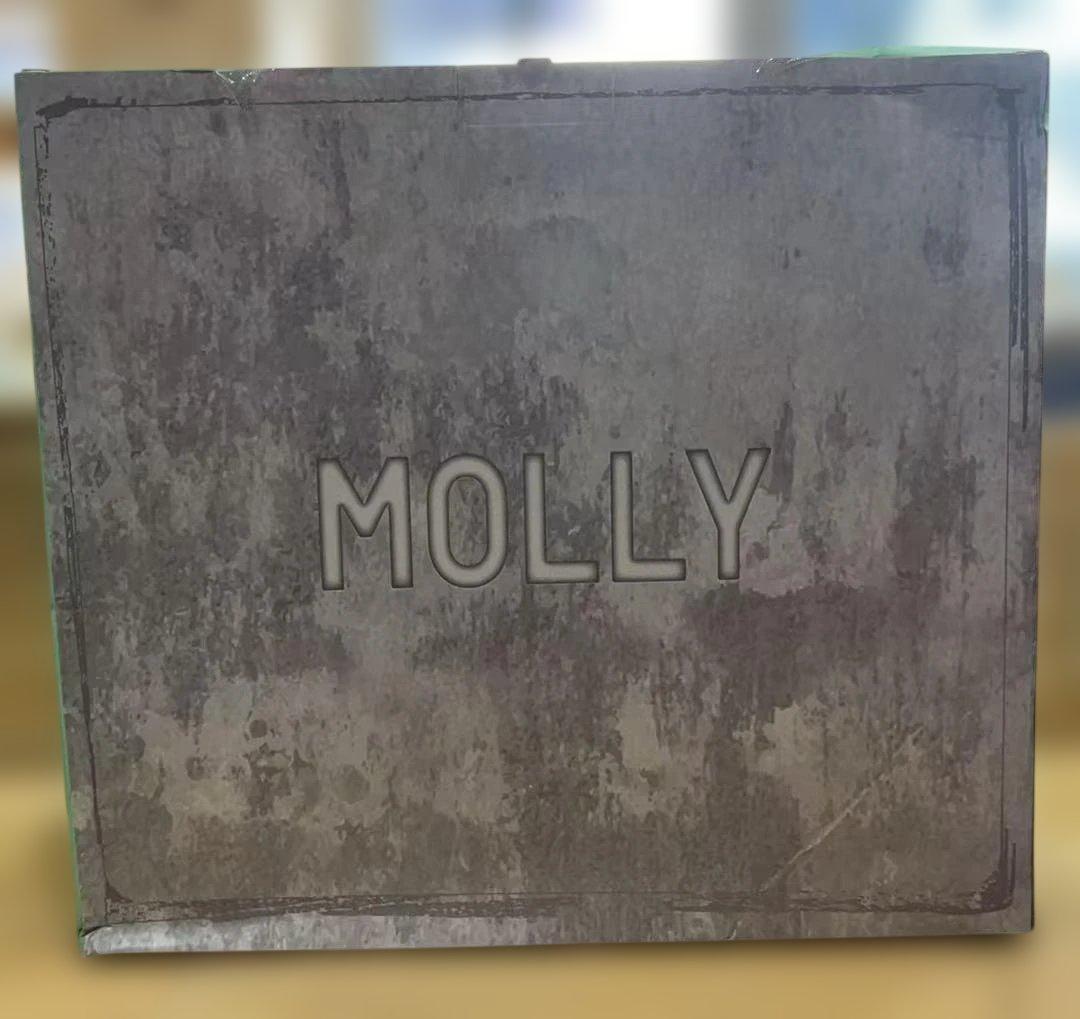 POP MART MOLLY DISPLAY CONTAINER 新品未使用