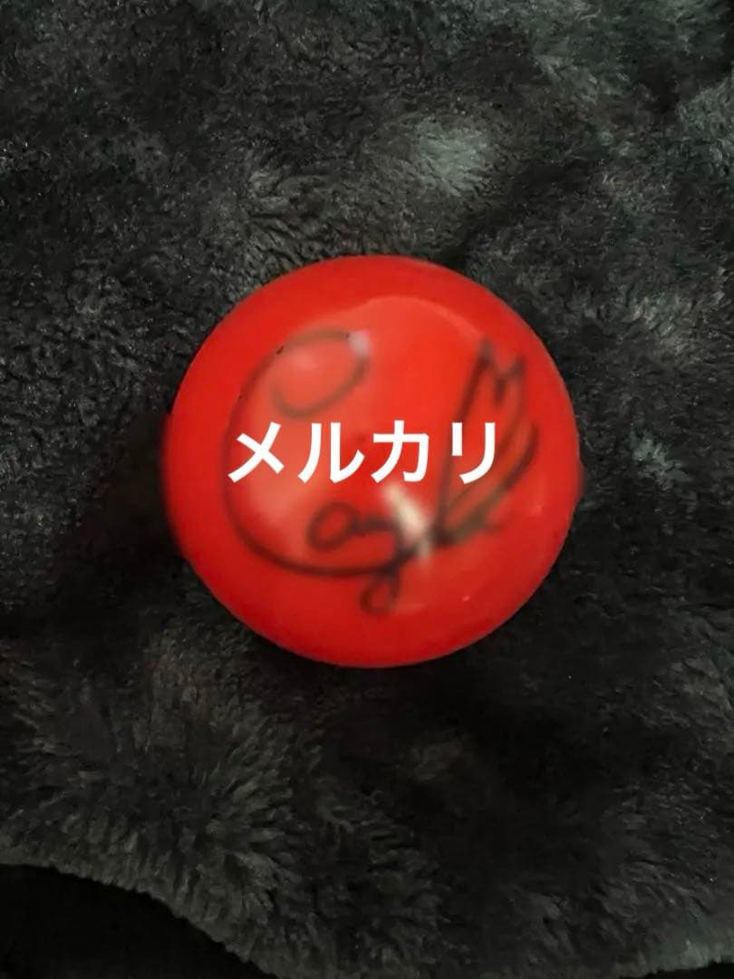ベビモン　チキータ　サインボール