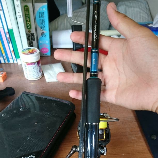 エギングセット  エメラルダス