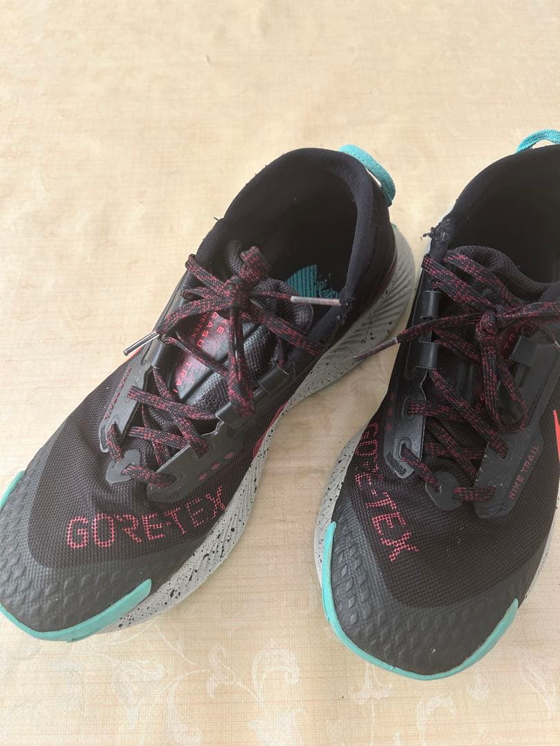 27cm NIKE ナイキ DC8793-002 ペガサス トレイル 3 GTX