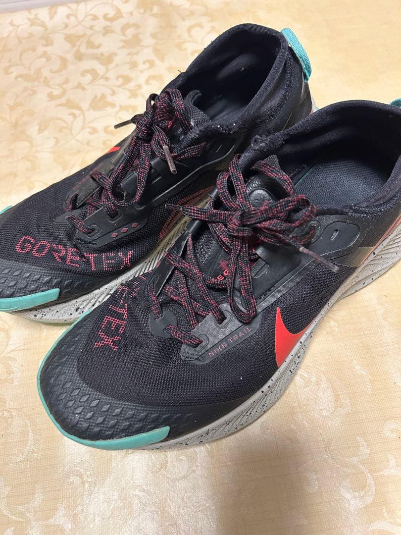 27cm NIKE ナイキ DC8793-002 ペガサス トレイル 3 GTX