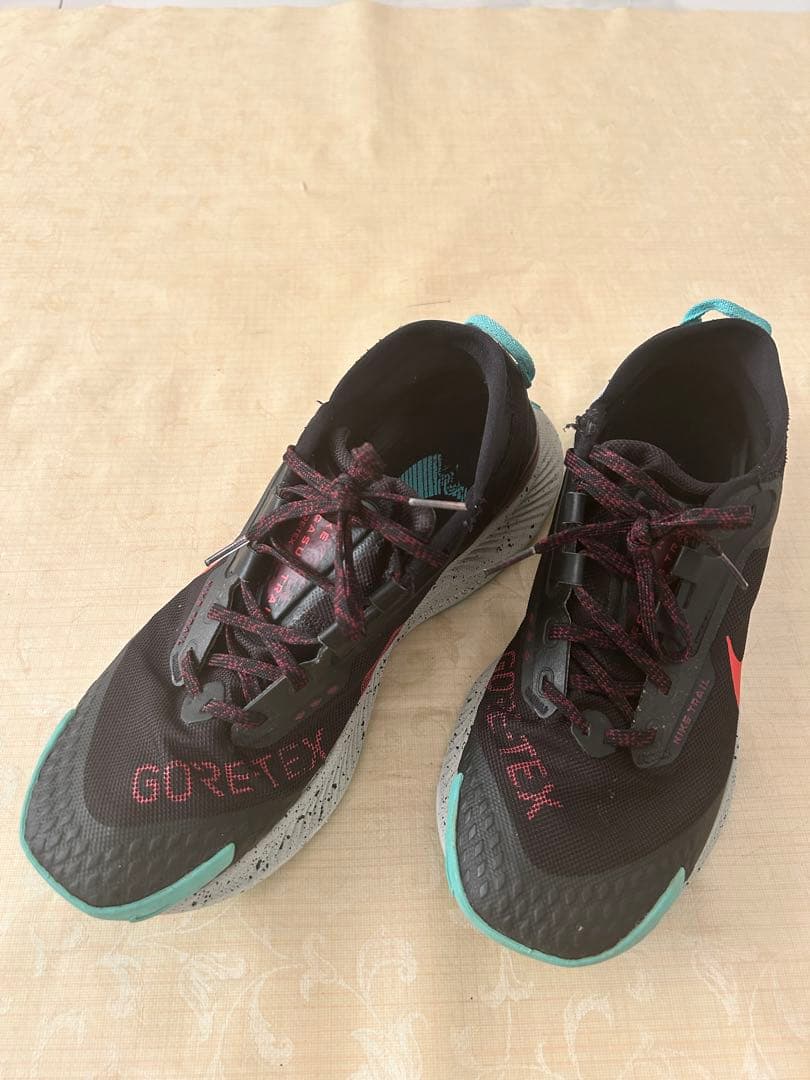 27cm NIKE ナイキ DC8793-002 ペガサス トレイル 3 GTX