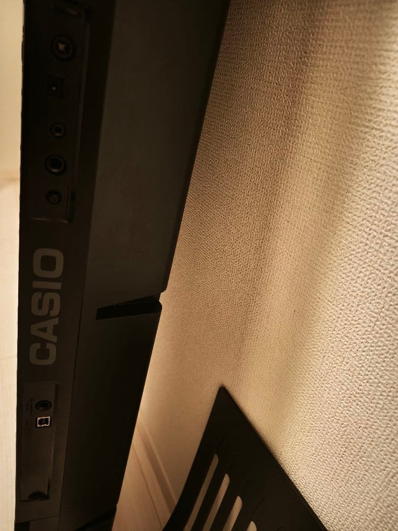 CASIO 電子キーボード 76鍵盤 WK-245