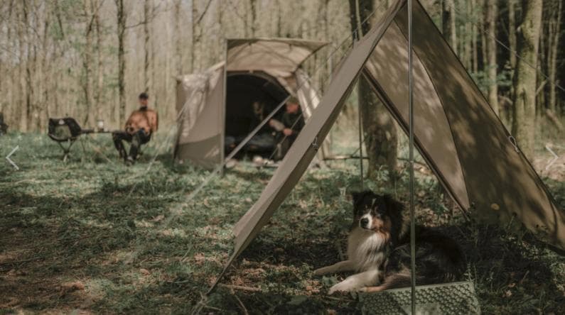 Robens Wind screen Tarp 2021 陣幕　 試し張りのみ