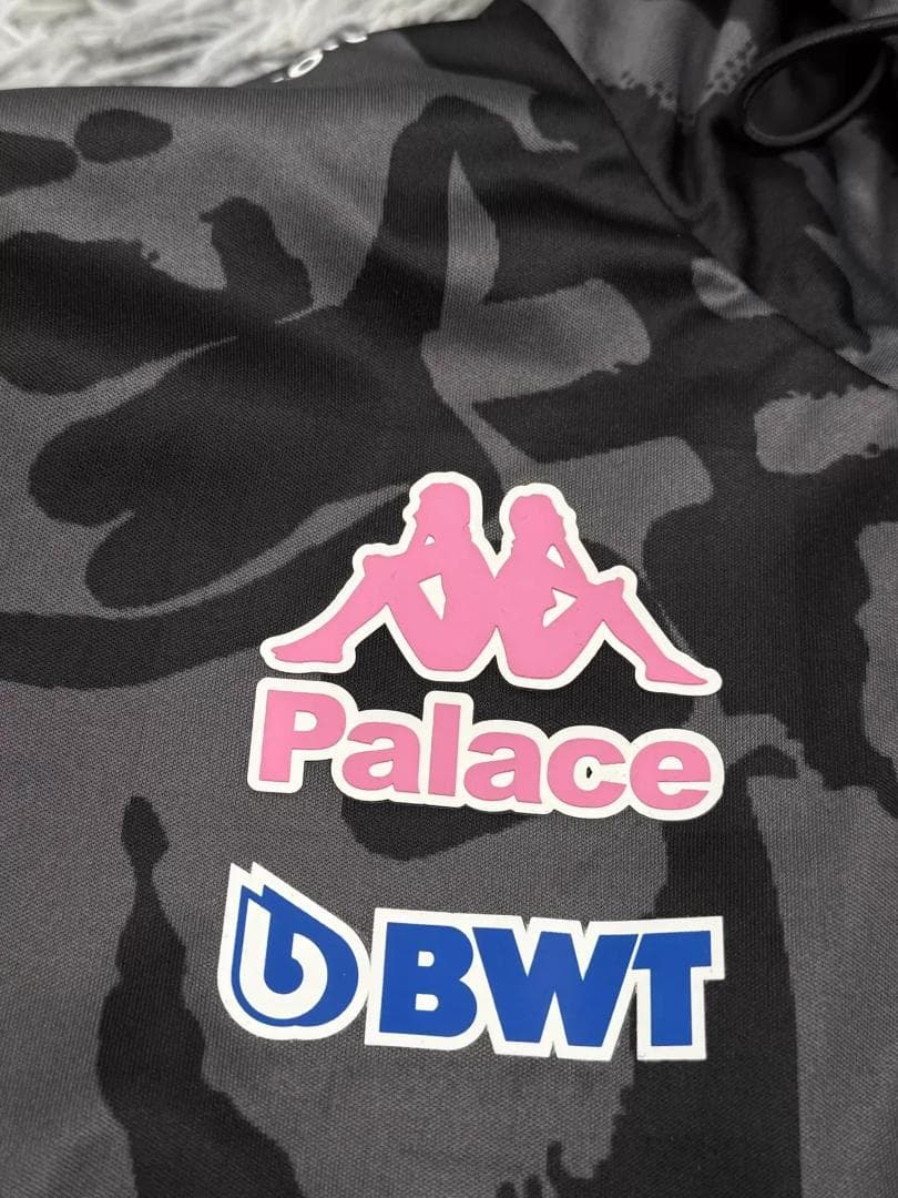 PALACE ALPINE F1 カモフラージュウィンドブレーカー