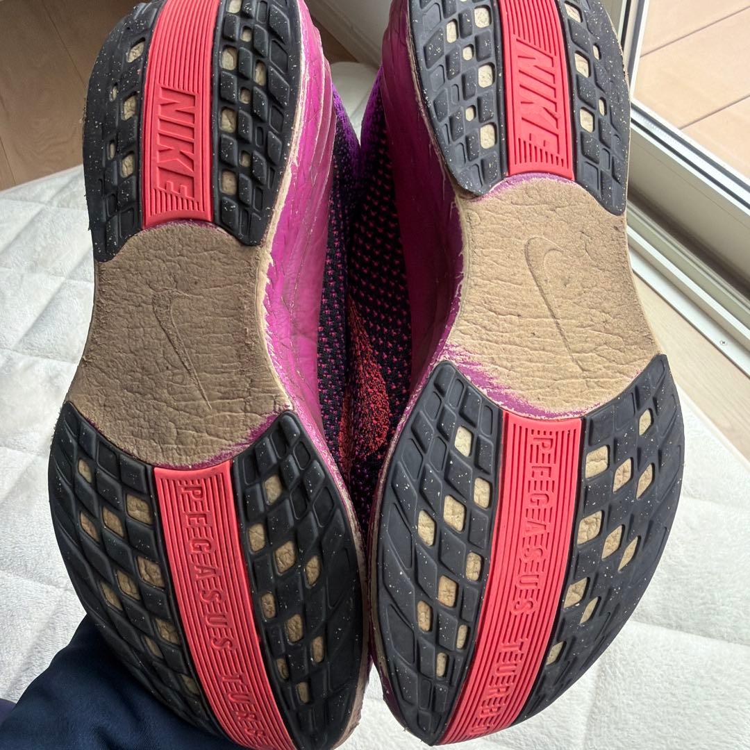 Nike ペガサスプラス　27.0cm