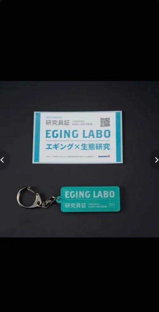 エギ王 ポラマジ3号