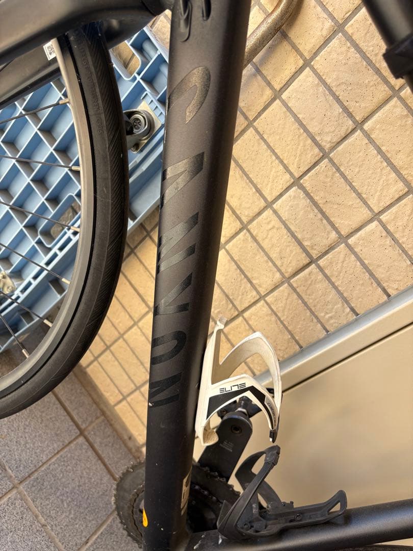CANYON ENDURACE CF AL DISC 2020モデル