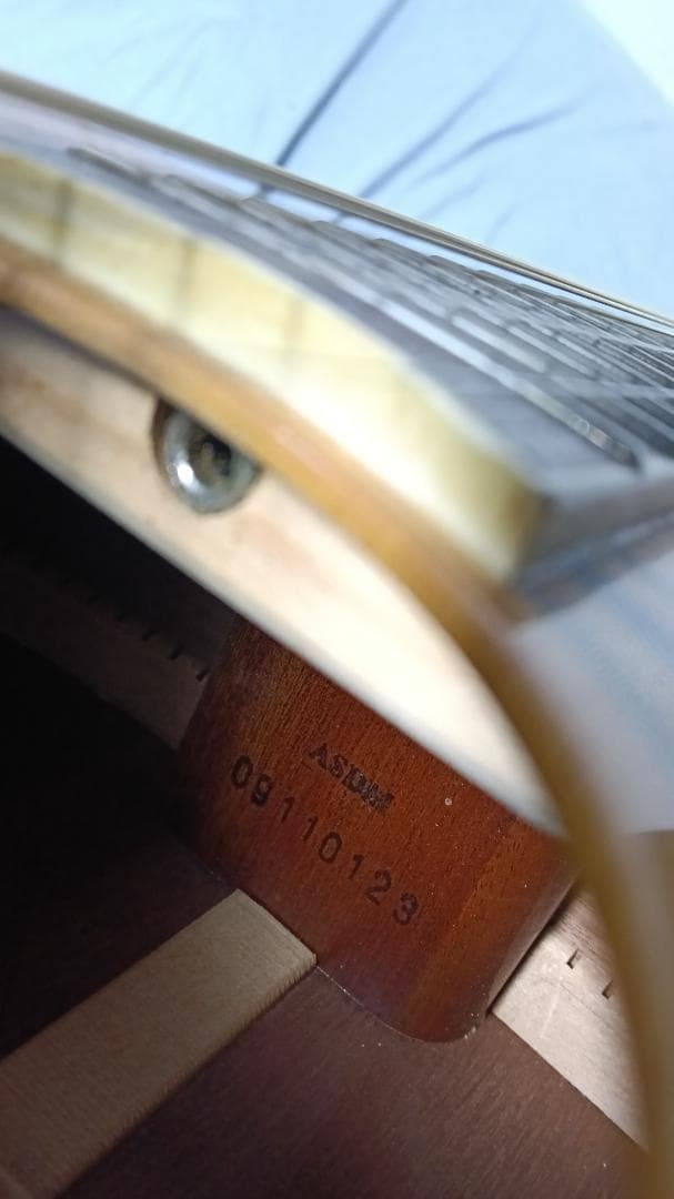 Samick Greg Bennett ASDM アコギ　（ハードケース付き）