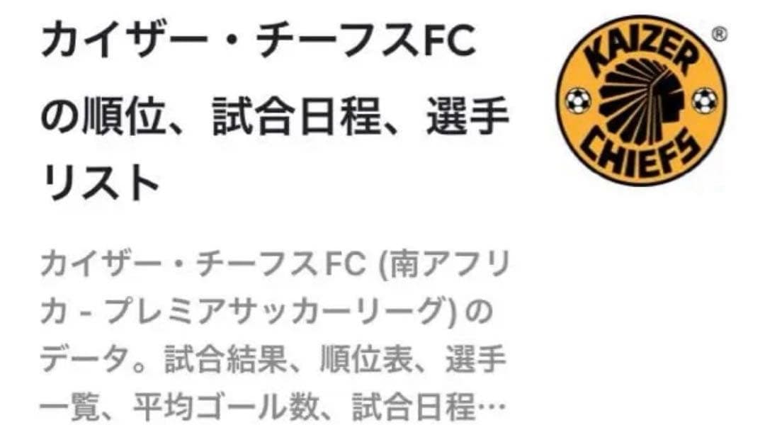 ビンテージ希少 美品NIKEサッカー長袖