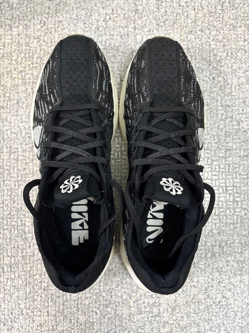 NIKE ペガサスターボ ネクストネイチャー 27.5cm ズームX 状態良