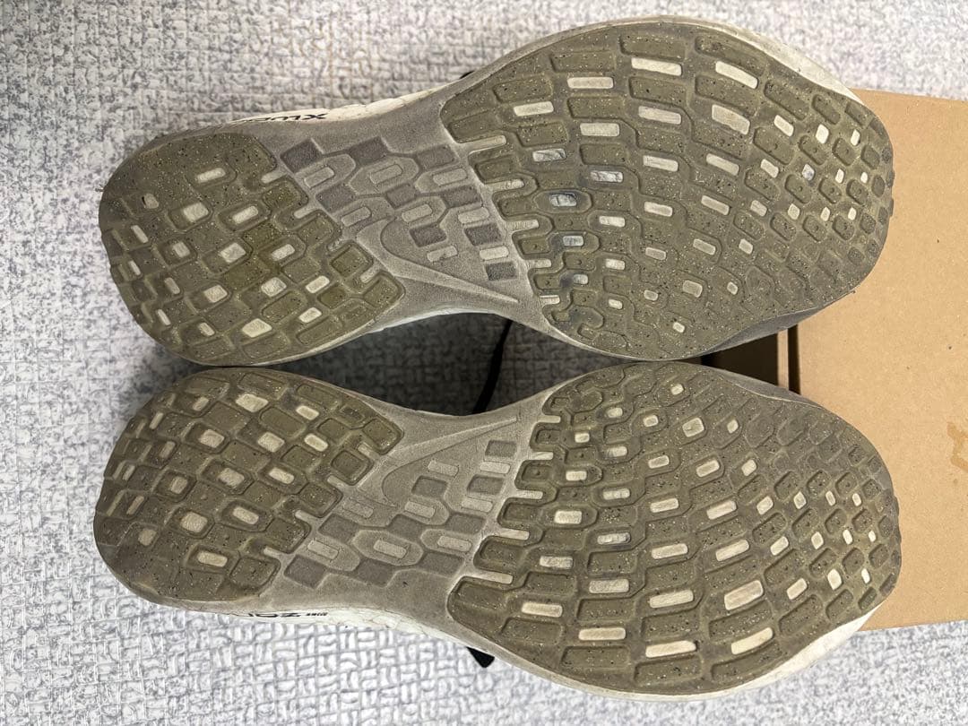 NIKE ペガサスターボ ネクストネイチャー 27.5cm ズームX 状態良