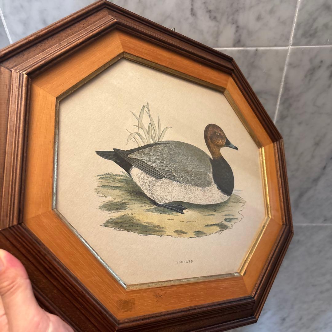イタリア90年代ヴィンテージ上品なカモが素敵な高級感のある額縁の絵画