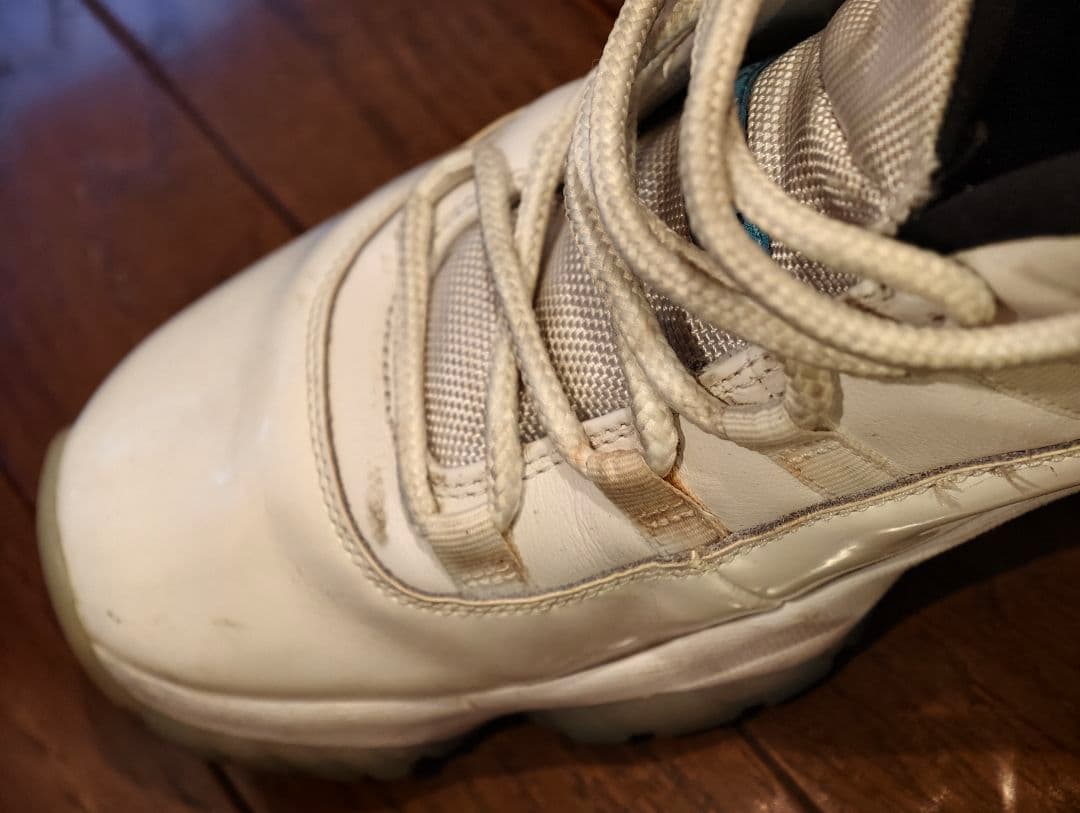 NIKE Air Jordan 11（エアジョーダン11）29cm