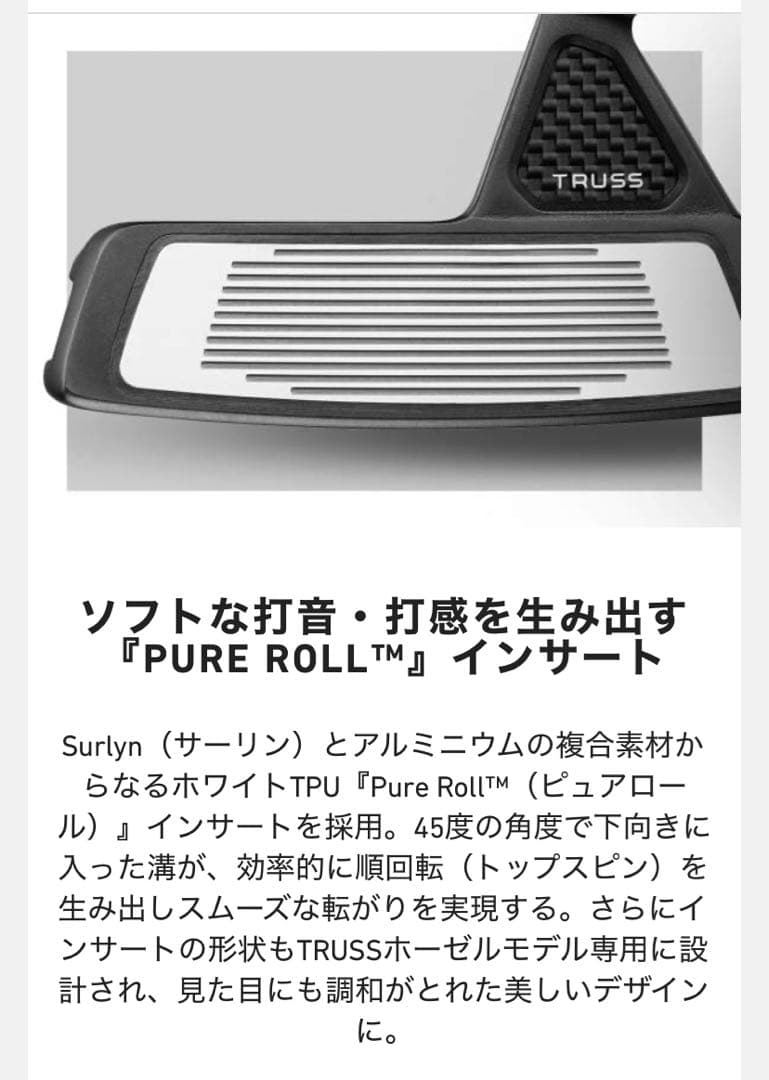 TaylorMade Spider Tour パター　スパイダーツアーTM1